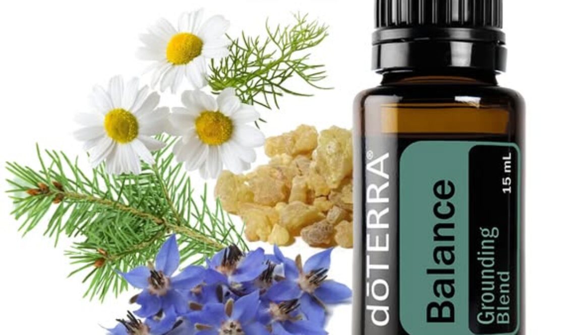 526520109_24549722161319598_426367875601894631_n