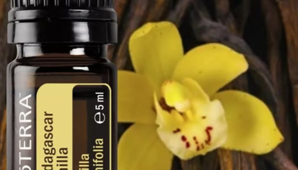 526706322_24549883977970083_4494901114307618870_n