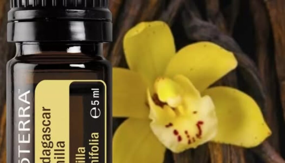 526706322_24549883977970083_4494901114307618870_n