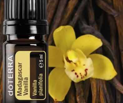 526706322_24549883977970083_4494901114307618870_n