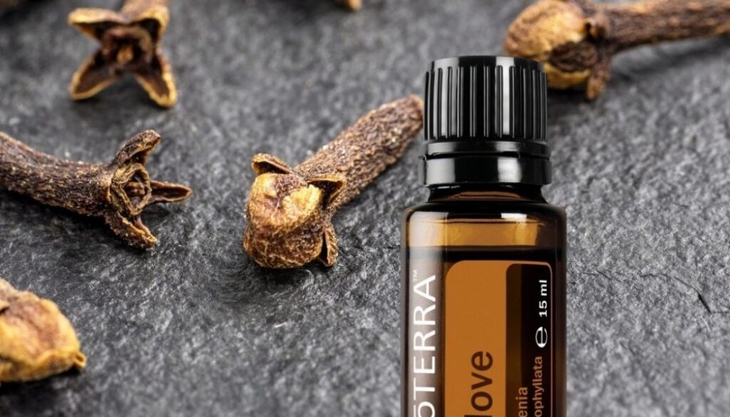 464089420_8926451070739959_1011597054729019337_n