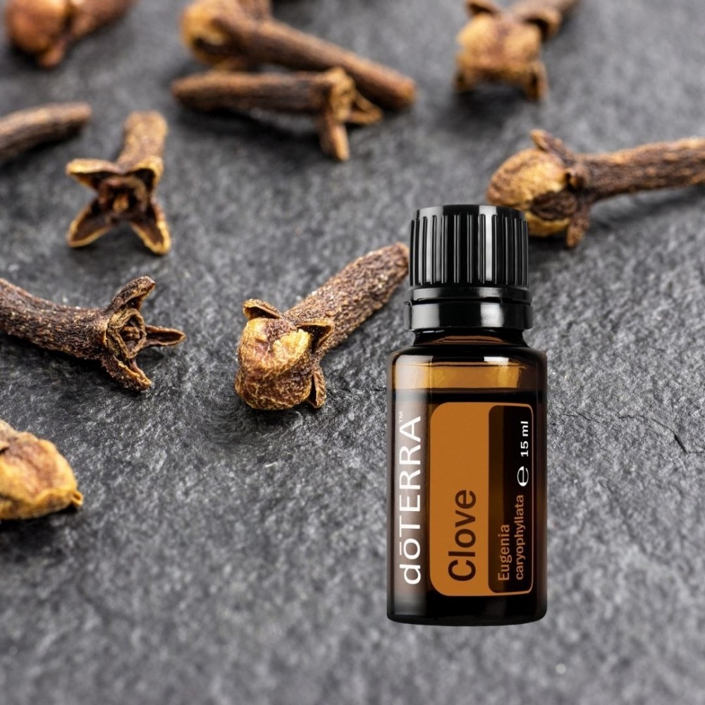 464089420_8926451070739959_1011597054729019337_n