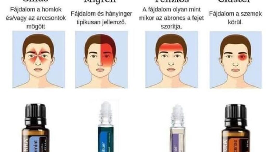 515494617_24517329984558816_3174516375837222969_n