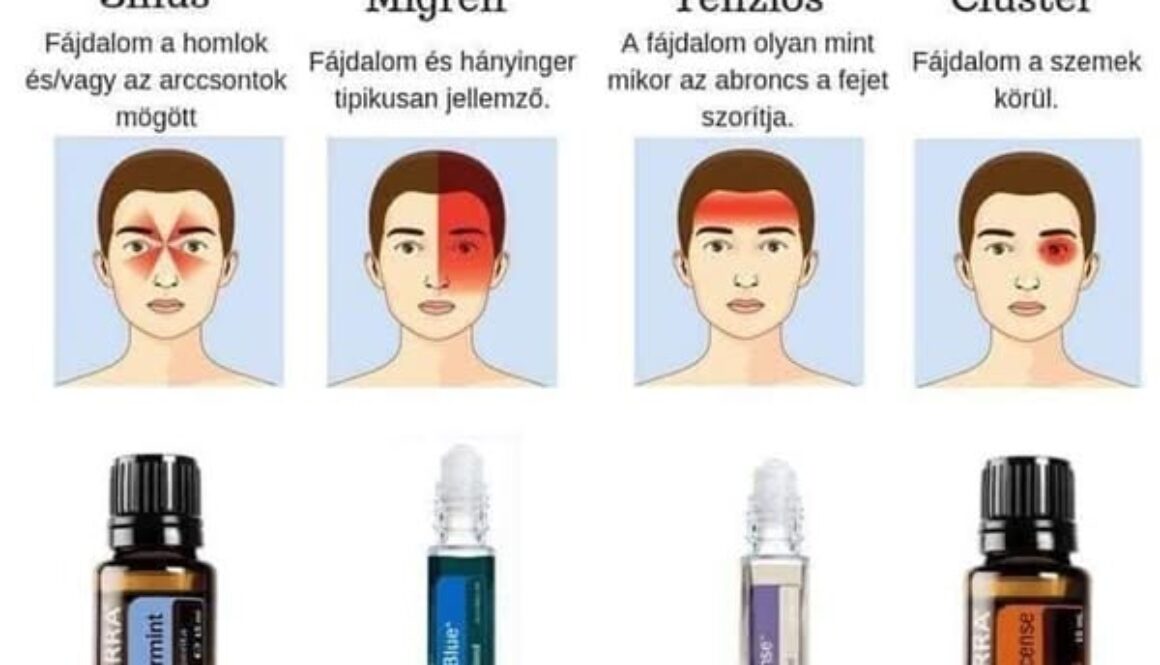 515494617_24517329984558816_3174516375837222969_n