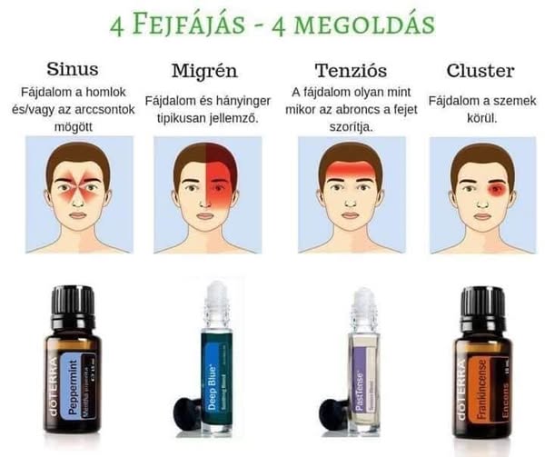 515494617_24517329984558816_3174516375837222969_n