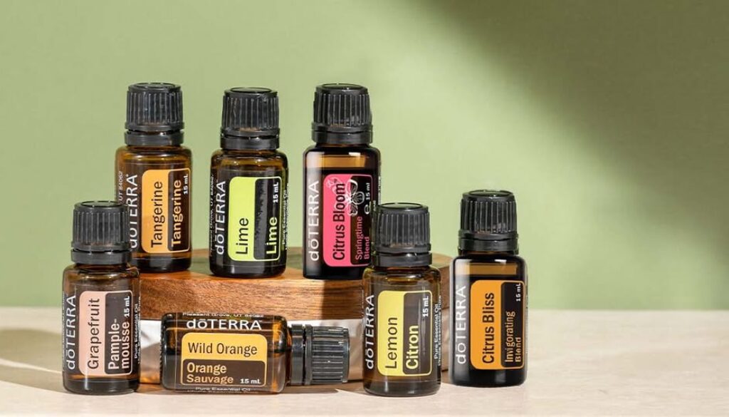 524563190_24511839195107895_8129093045253014581_n