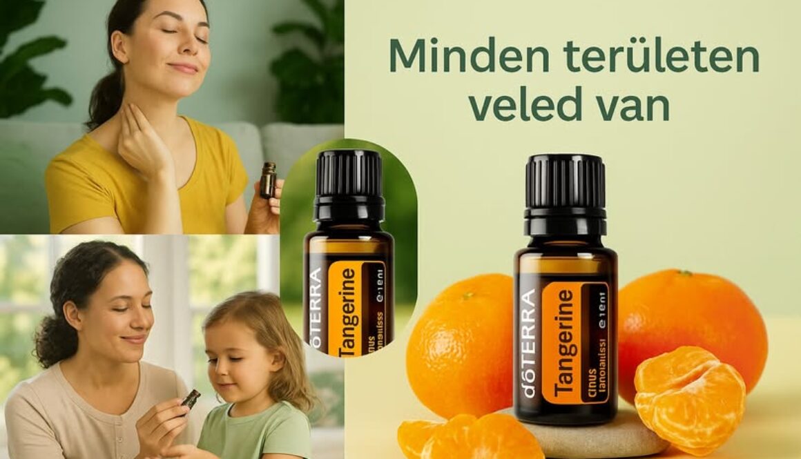 525161923_24511771441781337_2353185534454756593_n