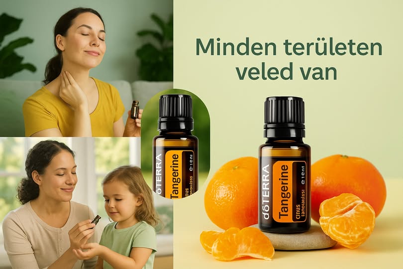 525161923_24511771441781337_2353185534454756593_n