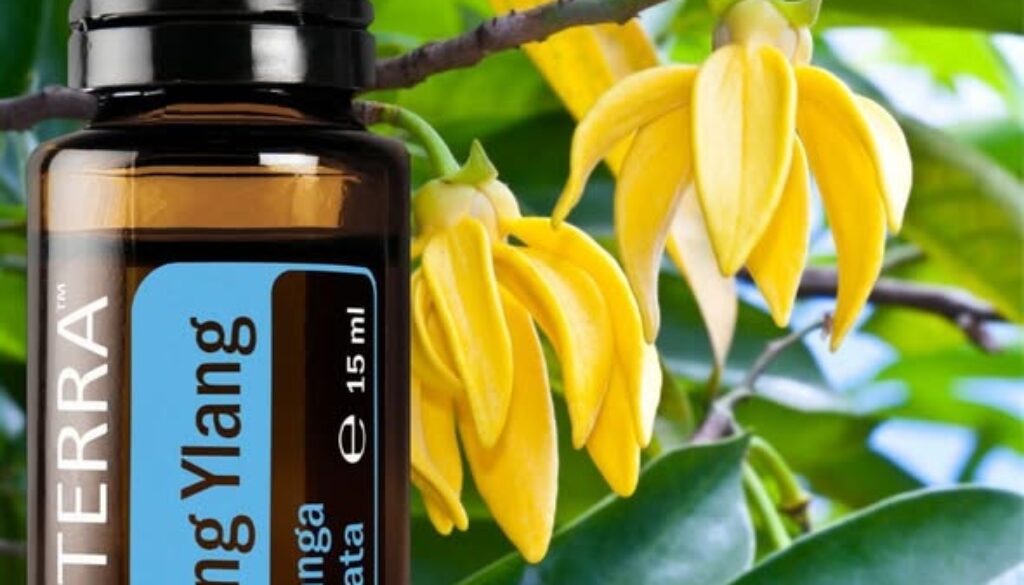 525949504_24549631554661992_5953765561131776718_n