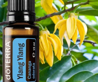 525949504_24549631554661992_5953765561131776718_n