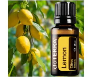 526079970_24549639137994567_8299587572767257853_n 526079970_24549639137994567_8299587572767257853_n