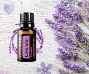 526553920_24549636041328210_6630696746405550432_n 526553920_24549636041328210_6630696746405550432_n