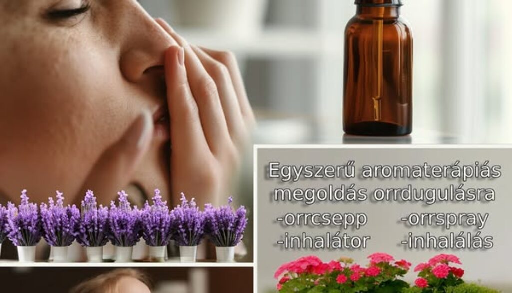 526735854_24542546932037121_8387931250280667652_n