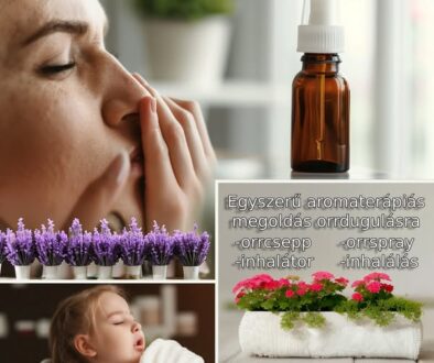 526735854_24542546932037121_8387931250280667652_n