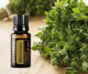 526881175_24549636044661543_6884059103389311192_n 526881175_24549636044661543_6884059103389311192_n